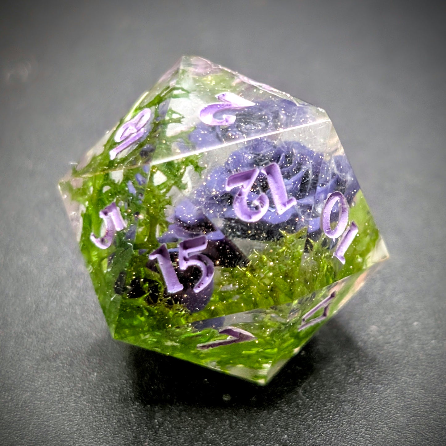 Armeria pseudarmeria (26mm D20)